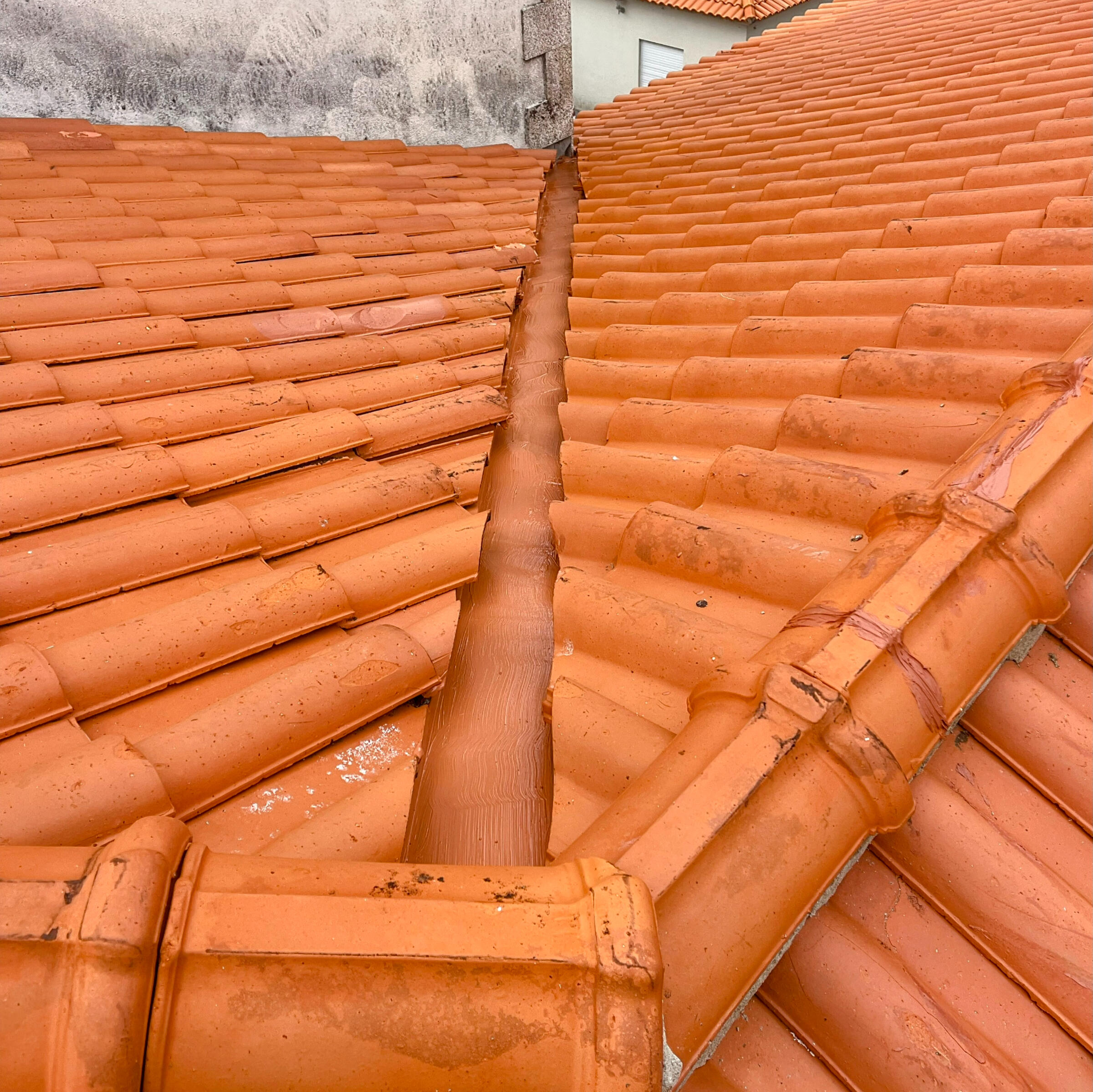 Limpeza de carpete